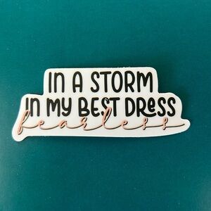 ⚪️Taylor Swift “Fearless” Vinyl Sticker